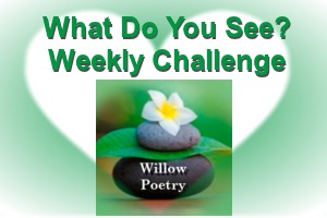weekly-challenge